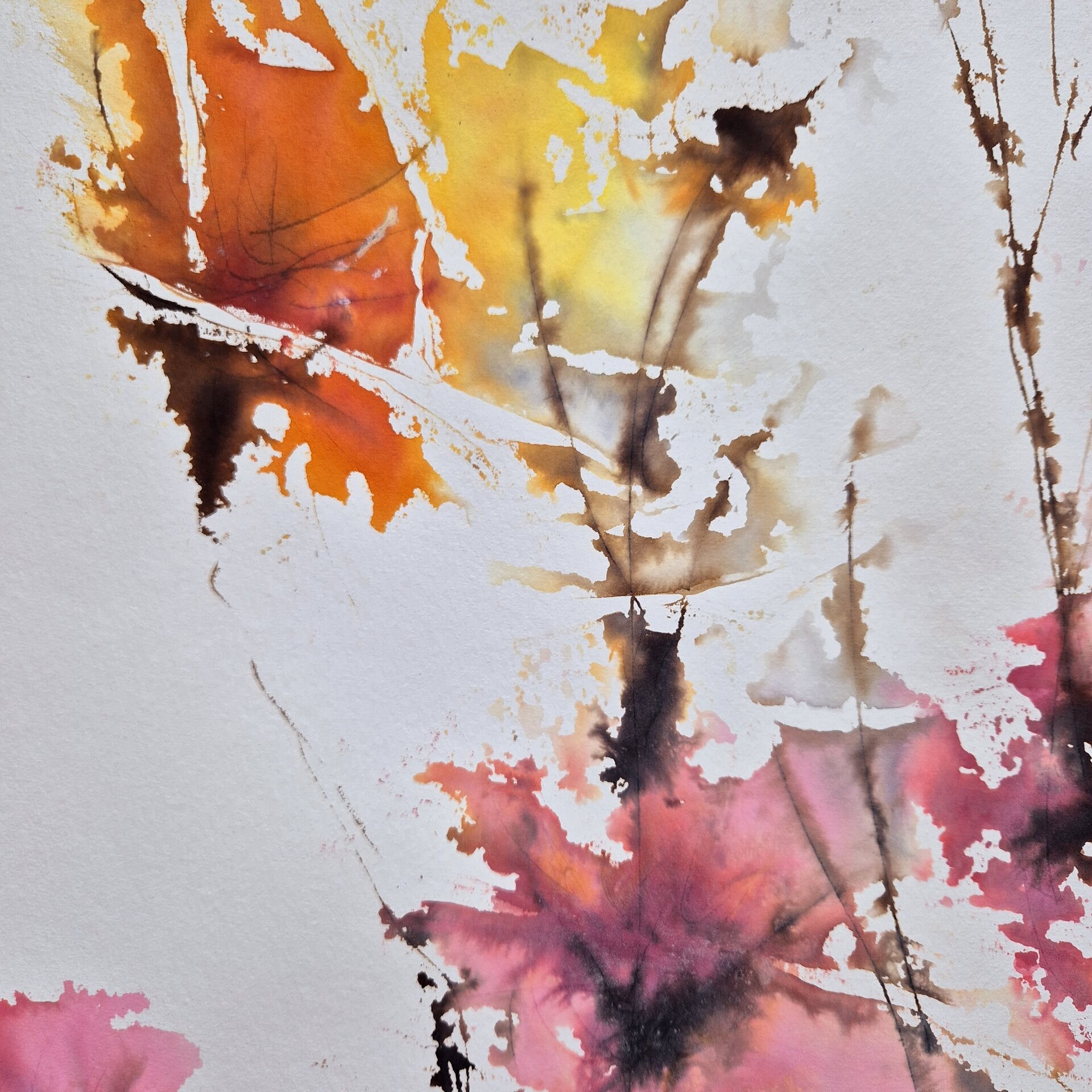 Metamorfosis sonora - 2